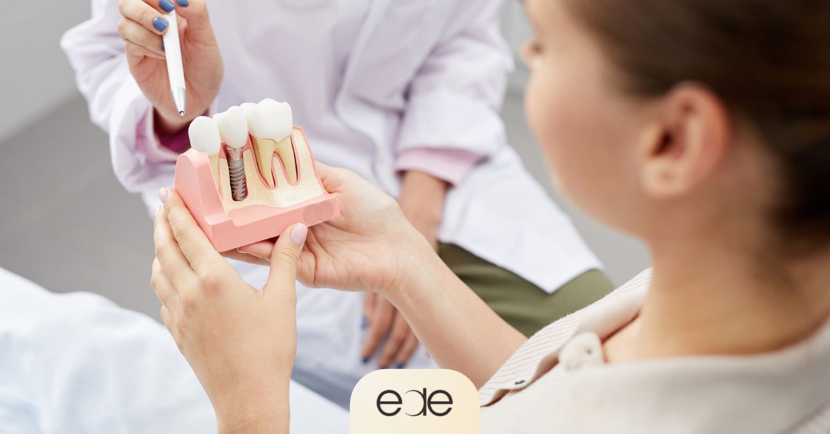Dentist explaining dental implant care to a patient using a tooth model.